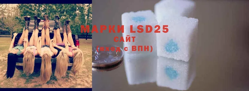 продажа наркотиков  Качканар  LSD-25 экстази ecstasy 